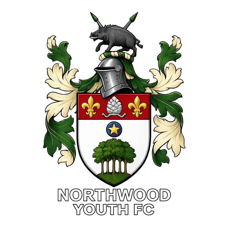 Northwood Youth FC badge